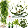 Bearded Dragon Habitat Vine QUOZUO Willow with Suction Cups 1175-QU-0