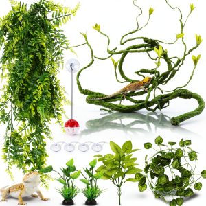 Bearded Dragon Habitat Vine QUOZUO Willow with Suction Cups 1175-QU-0