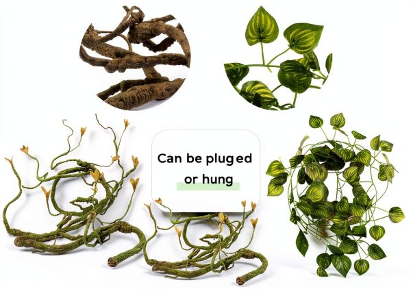 Bearded Dragon Habitat Vine QUOZUO Willow with Suction Cups 1175-QU-2