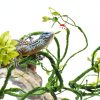 Bearded Dragon Habitat Vine QUOZUO Willow with Suction Cups 1175-QU-5