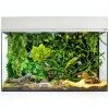 Bearded Dragon Habitat Vine QUOZUO Willow with Suction Cups 1175-QU-6