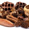 Seed Pod Aquarium Botanicals 38-Piece Pack for Shrimp Betta Terrariums-3