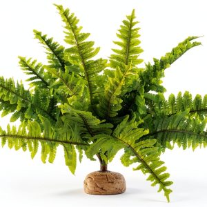 Boston Fern Terrarium Plant by Exo Terra Medium Replica for Reptiles-0