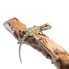 Reptile Plants 2 Pack Leaves with Suction Cups QUOZUO-5