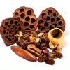 Seed Pod Aquarium Botanicals 38-Piece Pack for Shrimp Betta Terrariums-2
