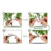 3PCS Reptile Plants for Terrarium - Fake Hanging Terrarium Plants, Artificial Boston Fern for Bearded Dragon Snake Geckos Hermit Crab Lizard Chameleon Turtle Reptile Decor(L30 xW5.1)-6