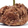 REPTI ZOO Magnetic Hanging Artificial Decoration Plant Climbing Vine for Reptile Terrarium Habitat Tank-1