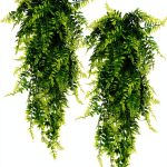 Reptile Plants 2 Pack Leaves with Suction Cups QUOZUO-0